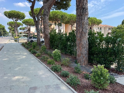 457775996_IMG-20240916-WA0004_1086241_resized