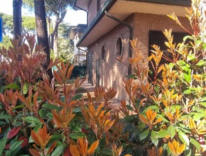 RIF.: ARIOSTO – PAS