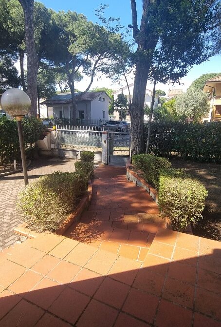 20250508_102948_resized