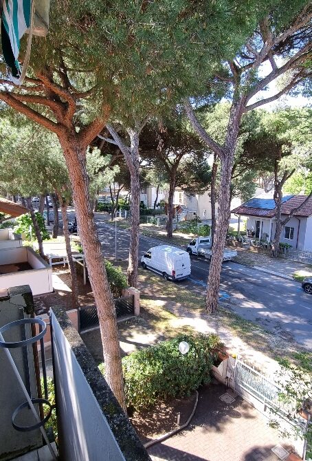 20250508_104053_resized