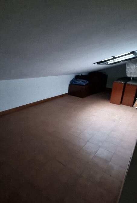 20250508_104205_resized