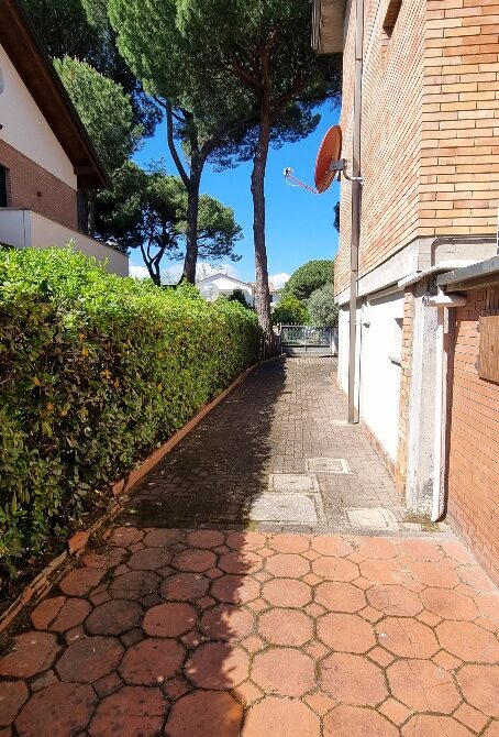 20250508_104520_resized_1