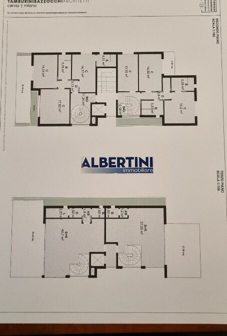 LIMONI PIANTE P. 1-2°