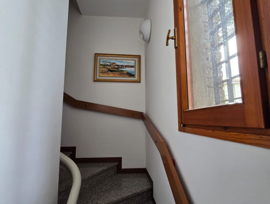 BRUZZIROSS (20)