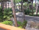 CADENELLI (14)