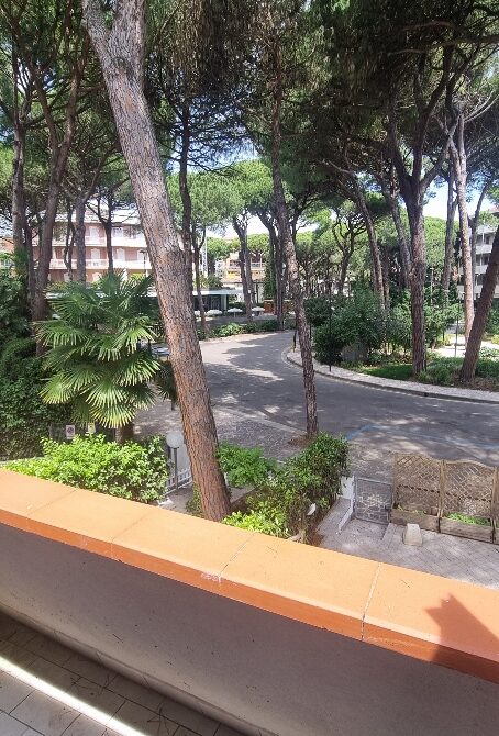 CADENELLI (14)