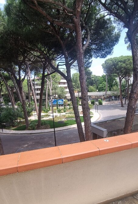 CADENELLI (28)