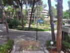 CADENELLI (33)