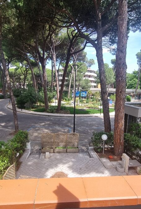 CADENELLI (33)