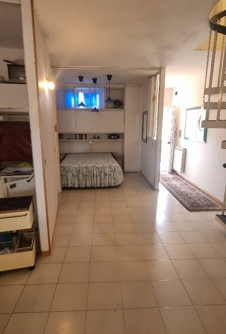 CADENELLI (47)